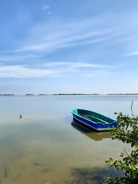 Imagen de la ciénaga 4